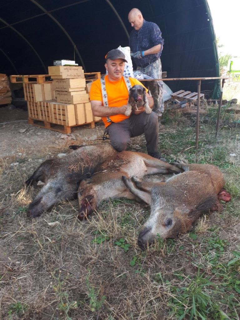 chasse